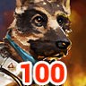 K9 unit