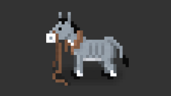 Animal friend