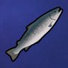 So Long, And Thanks For All The Fish