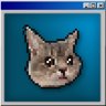 Cat.jpeg