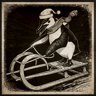Penguin Skiing Championship