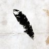 White Feather