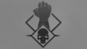 Brawler