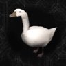 Goose?