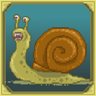 Vaincre l'escargot géant