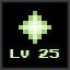 Level 25