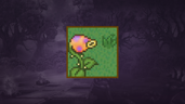 Welcome to the Forest