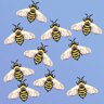 THE BEES