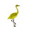 Ardea melanocephala