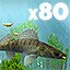 Caught 80 fish in the Ruhr Lake