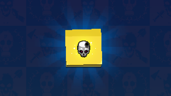 Experienced Survivor