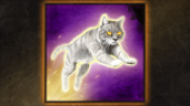 Cat Person