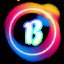 B1