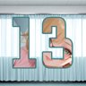13 level completed