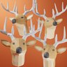 No Deer Left Behind