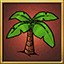 Tropical Heat