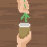 Holy Herb