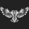 Owl Seeker