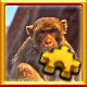 Monkey Complete!
