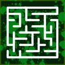 The Maze Puzzle