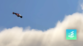 Flymania