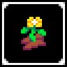 Beginner Gardener