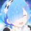 Snow Rem