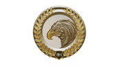 Falcon's Ascension