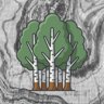Birch zone