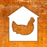 Chickens need a home too