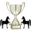 Win 10 Races