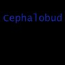 Cephalobud