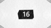 Level 16