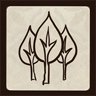 A Grove Replanted