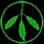 Greenpeace