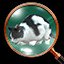 Oh Look, a Cat!