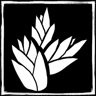 Dunegrass Collector