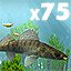 Caught 75 fish in Alaska