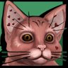 Cat lover