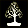 Bonsai