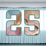 25 level completed