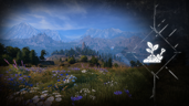 Forests Grown Anew