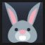 Rabbit Face