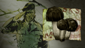 Fungus Among Us