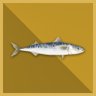 10.000 Tons Mackerel