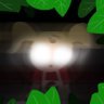 Paranormal is the norm