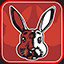 Unordinary Rabbit