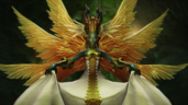 Fell Angel