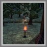Enter Mourning Forest