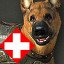 DOGtor